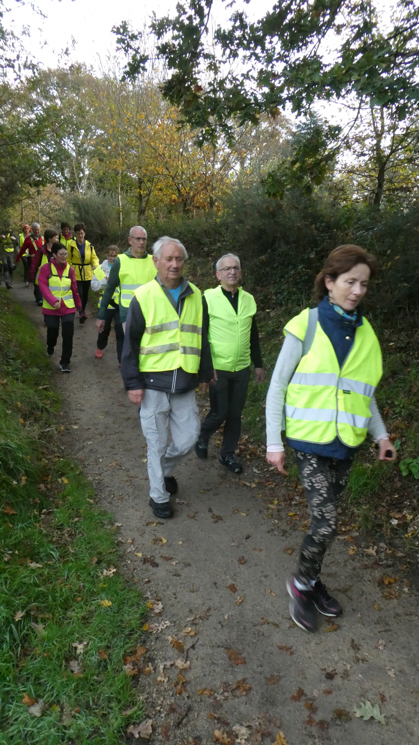 Audax_2022-11-13-Clohars-Ft_14