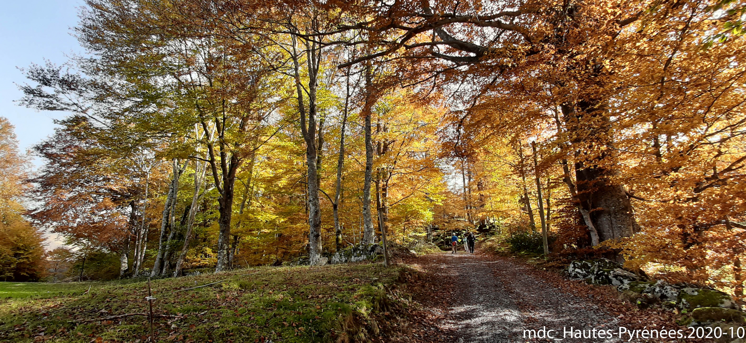 2020-10-24_H-Pyrénées__21