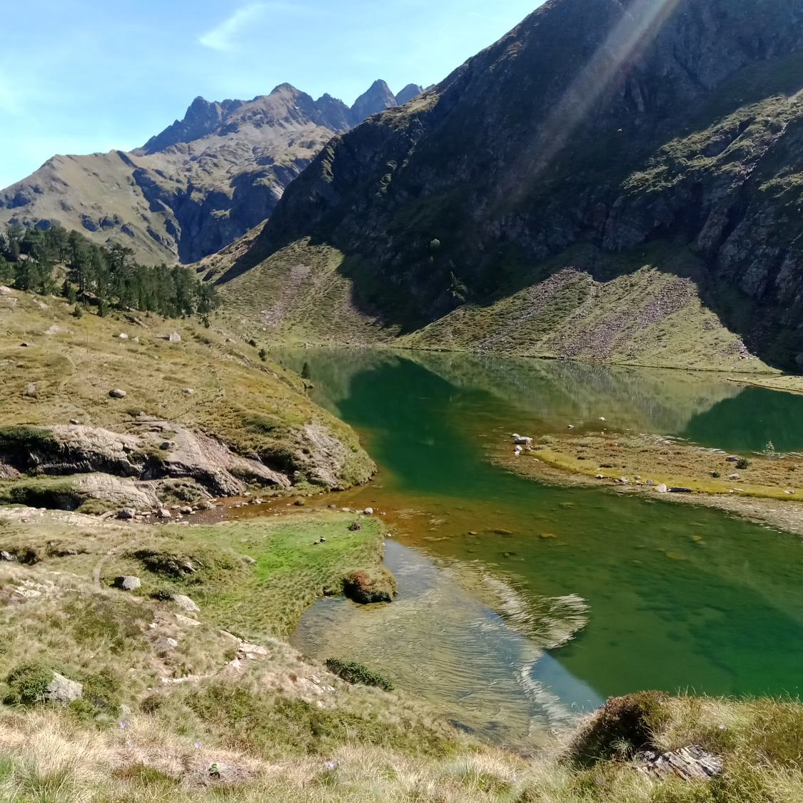 le_lac_vert