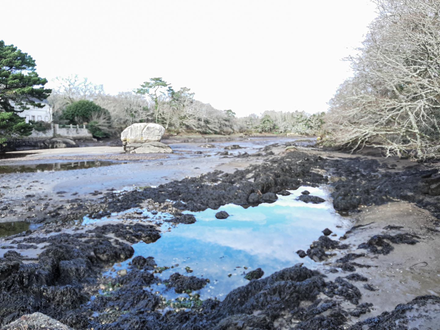 Concarneau_2022-01-05_10