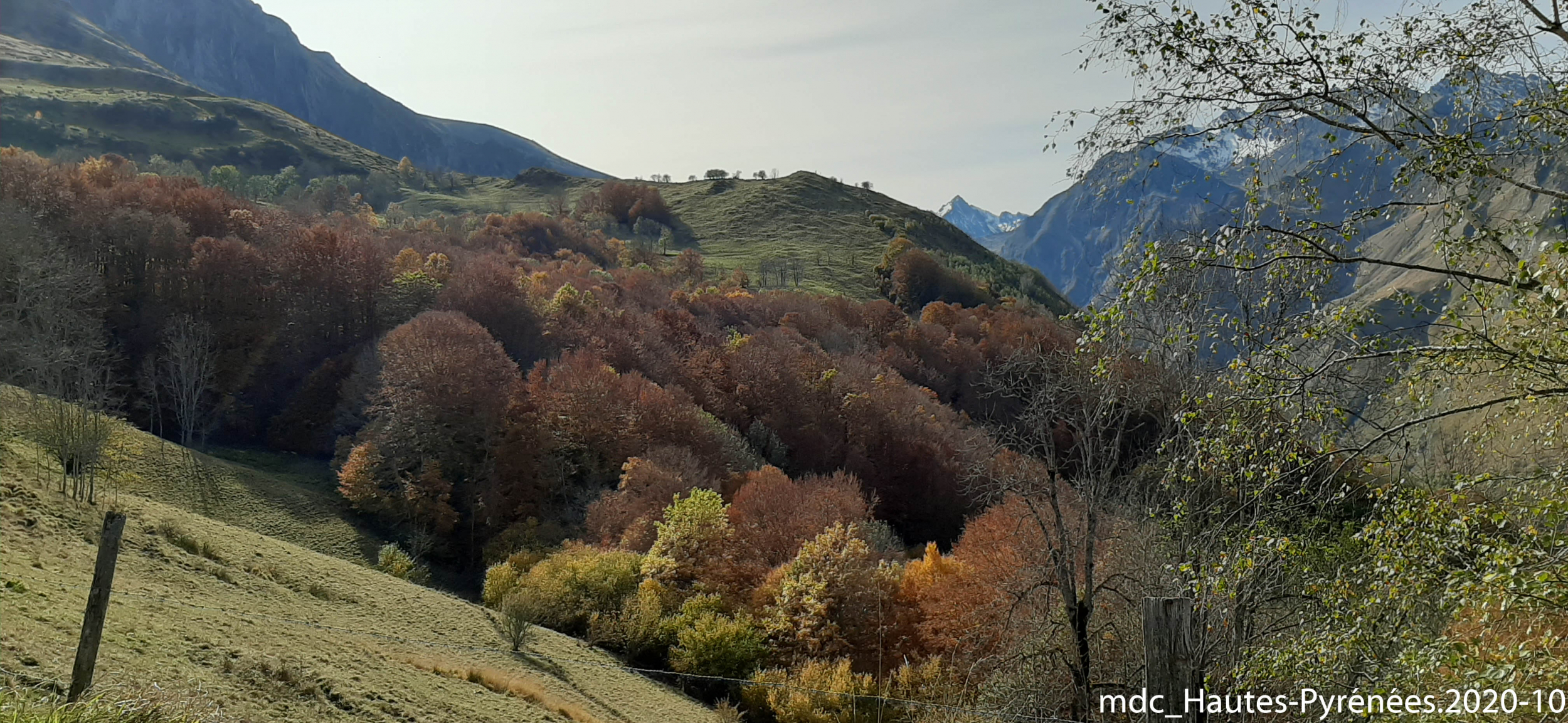 2020-10-24_H-Pyrénées__20