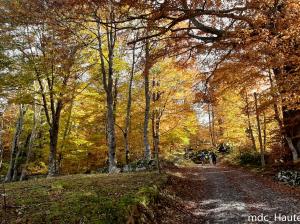 2020-10-24_H-Pyrénées__21