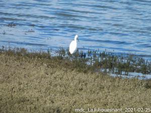 2021-02-25_La-Foret-Fouesnant_14