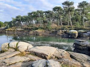 Concarneau_2022-01-05_13