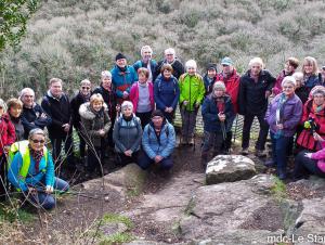 Stangala_2022-02-02_1