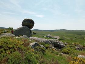 IMG_20240606_144229